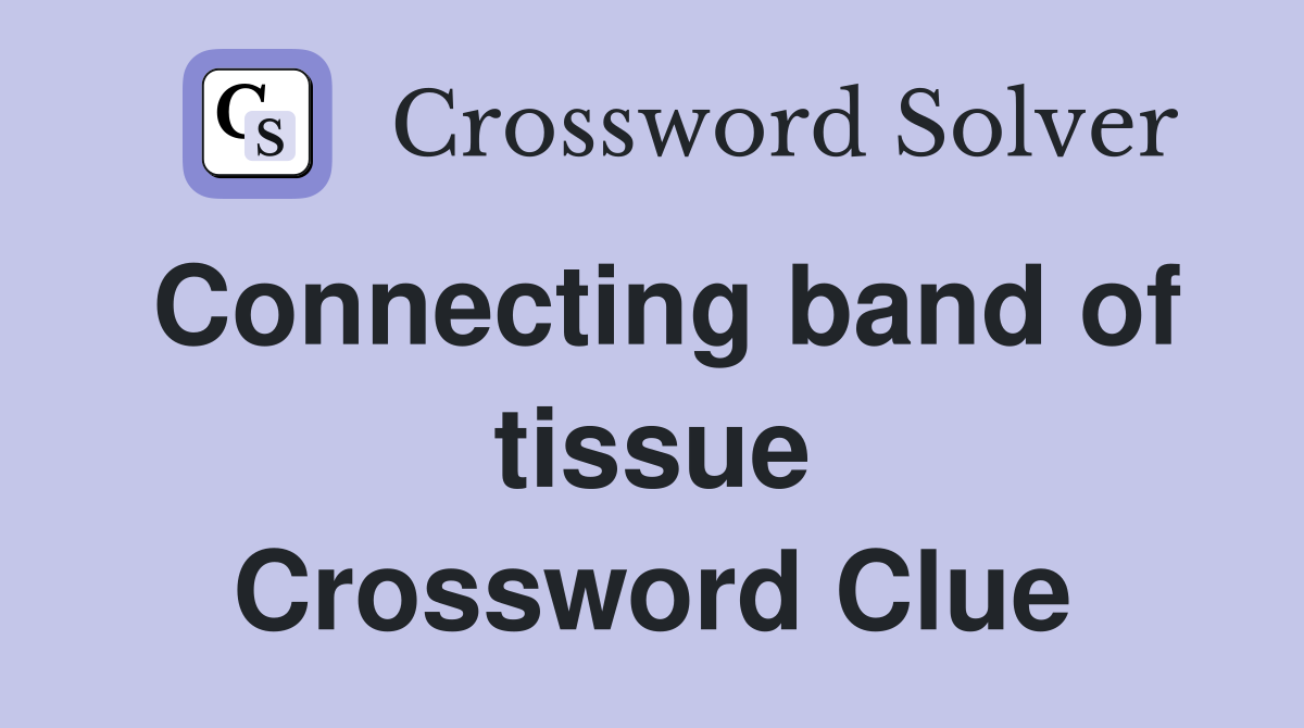 Connecting band of tissue Crossword Clue