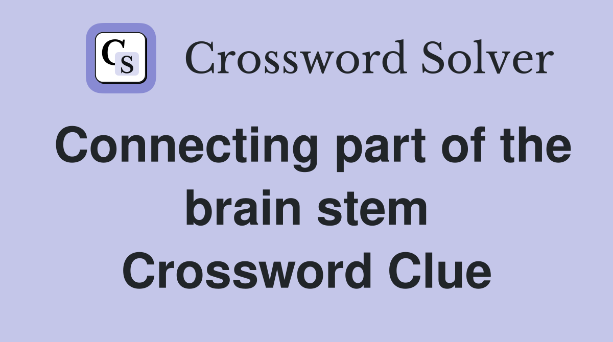Connecting part of the brain stem Crossword Clue