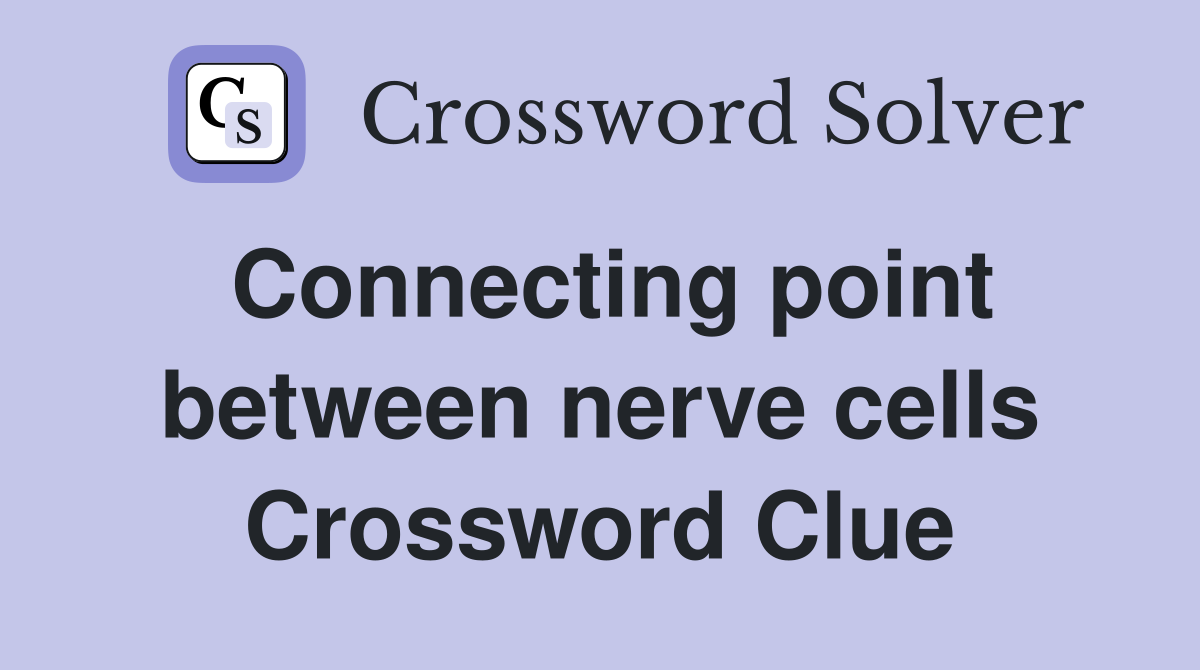 Connecting point between nerve cells Crossword Clue