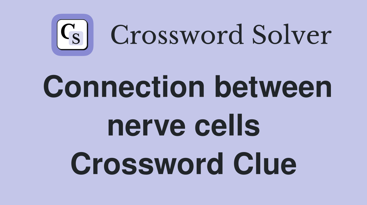 Connection between nerve cells Crossword Clue