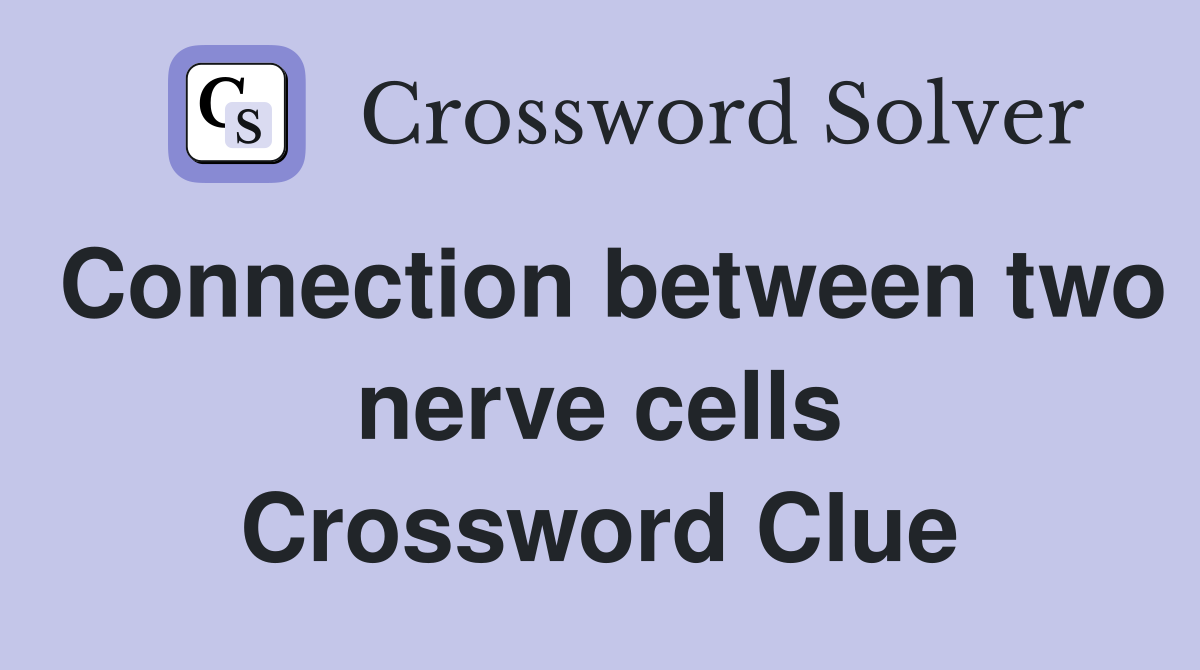 Connection between two nerve cells Crossword Clue