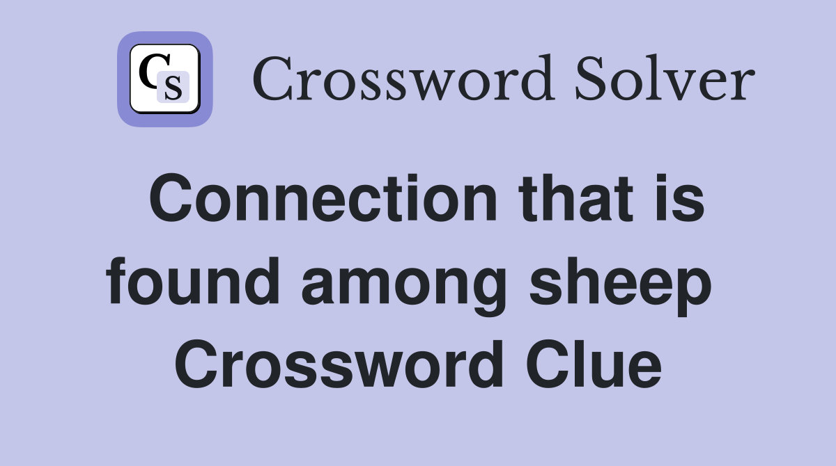 Connection that is found among sheep  Crossword Clue