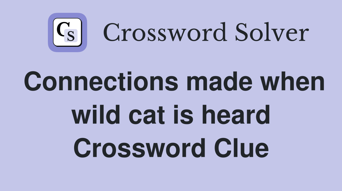 Connections made when wild cat is heard Crossword Clue
