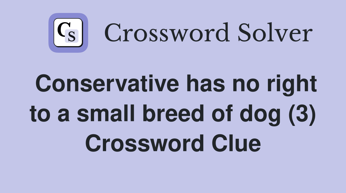 Conservative has no right to a small breed of dog (3) Crossword Clue