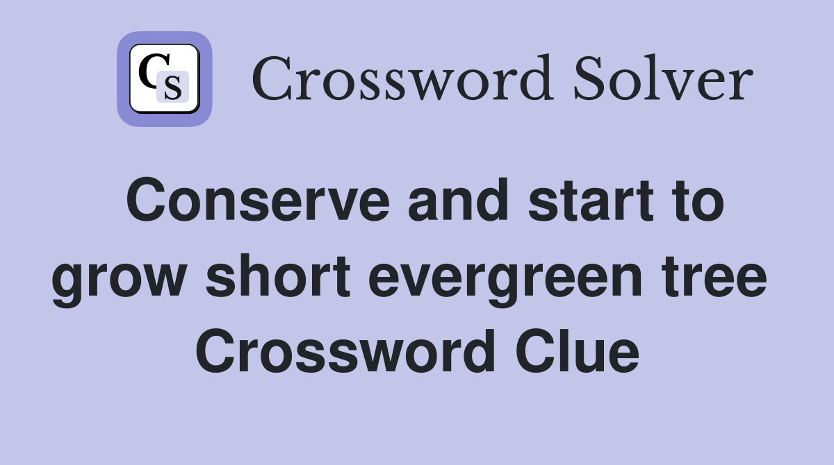 Conserve and start to grow short evergreen tree  Crossword Clue