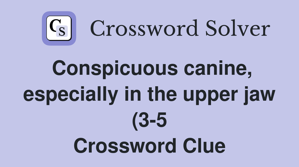 Conspicuous canine especially in the upper jaw (3 5) Crossword Clue Conspicuous canine especially in the upper jaw (3 5) Crossword Clue