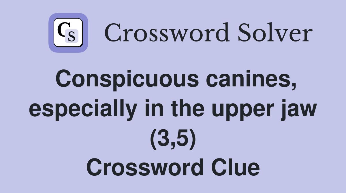 Conspicuous canines, especially in the upper jaw (3,5) Crossword Clue