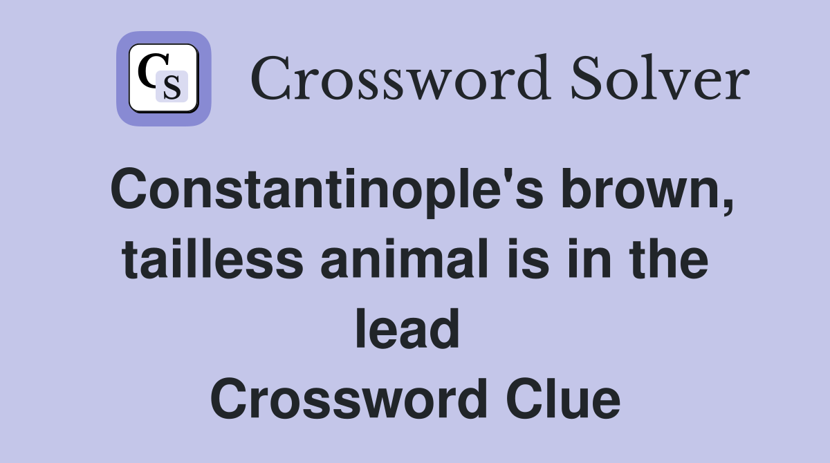 Constantinople's brown, tailless animal is in the lead  Crossword Clue