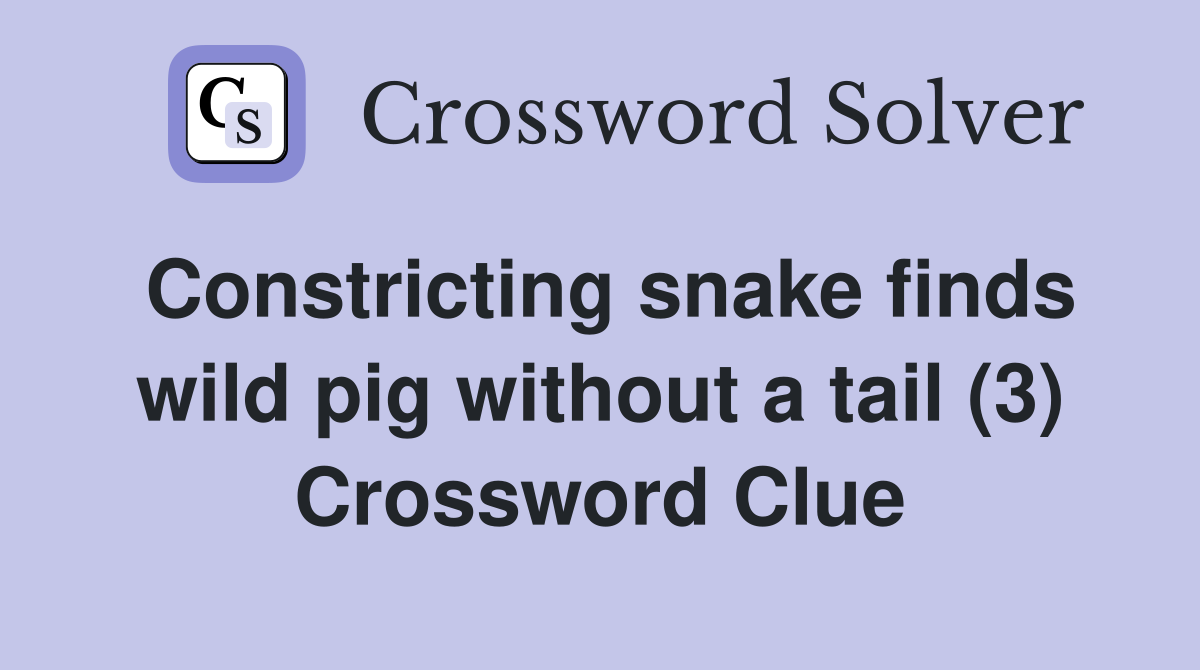 Constricting snake finds wild pig without a tail (3) Crossword Clue