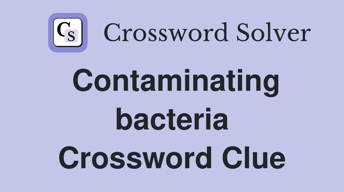 Contaminating bacteria Crossword Clue