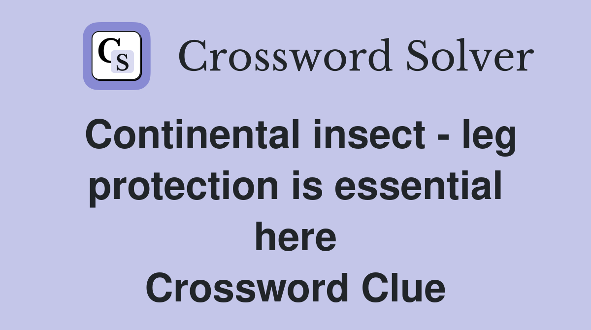 Continental insect - leg protection is essential here Crossword Clue