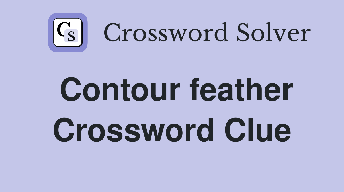 Contour feather Crossword Clue
