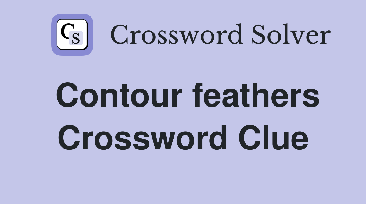 Contour feathers Crossword Clue