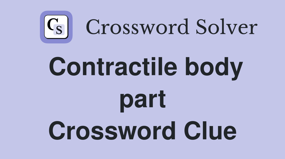 Contractile body part Crossword Clue