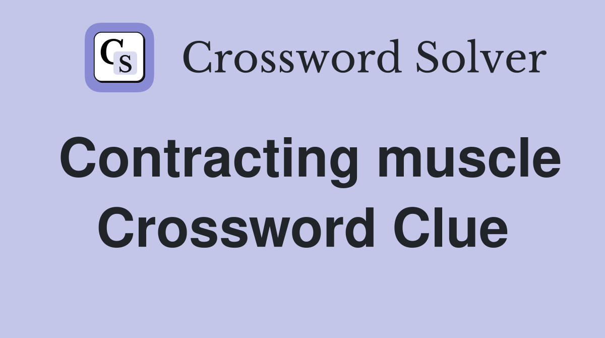 Contracting muscle Crossword Clue