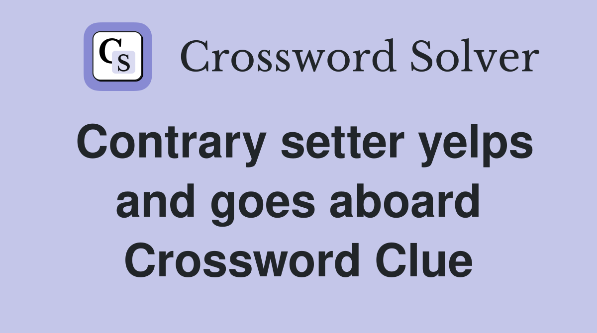 Contrary setter yelps and goes aboard Crossword Clue