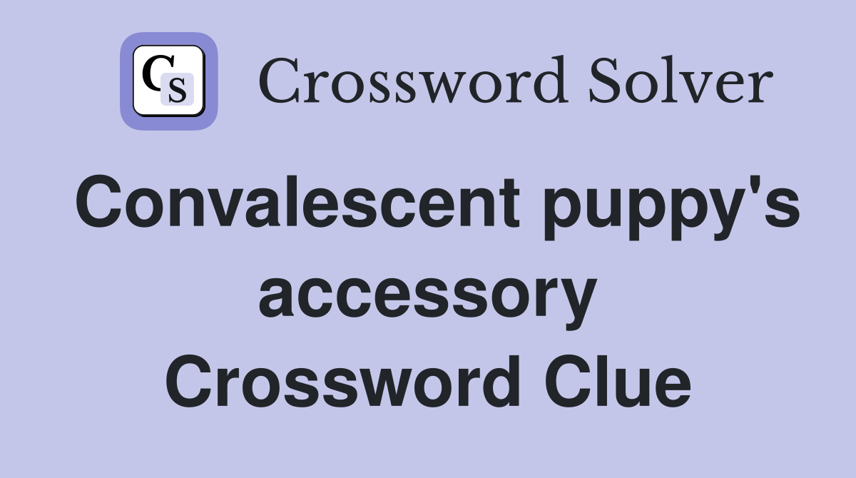 Convalescent puppy's accessory Crossword Clue