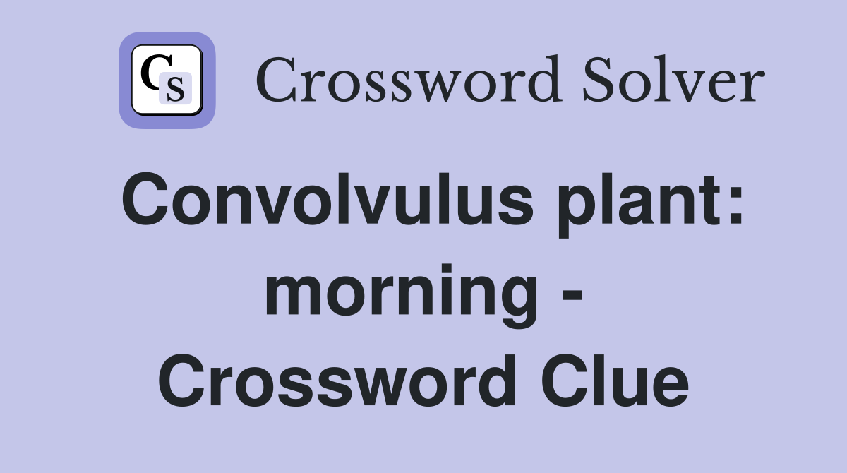 Convolvulus plant: morning - Crossword Clue