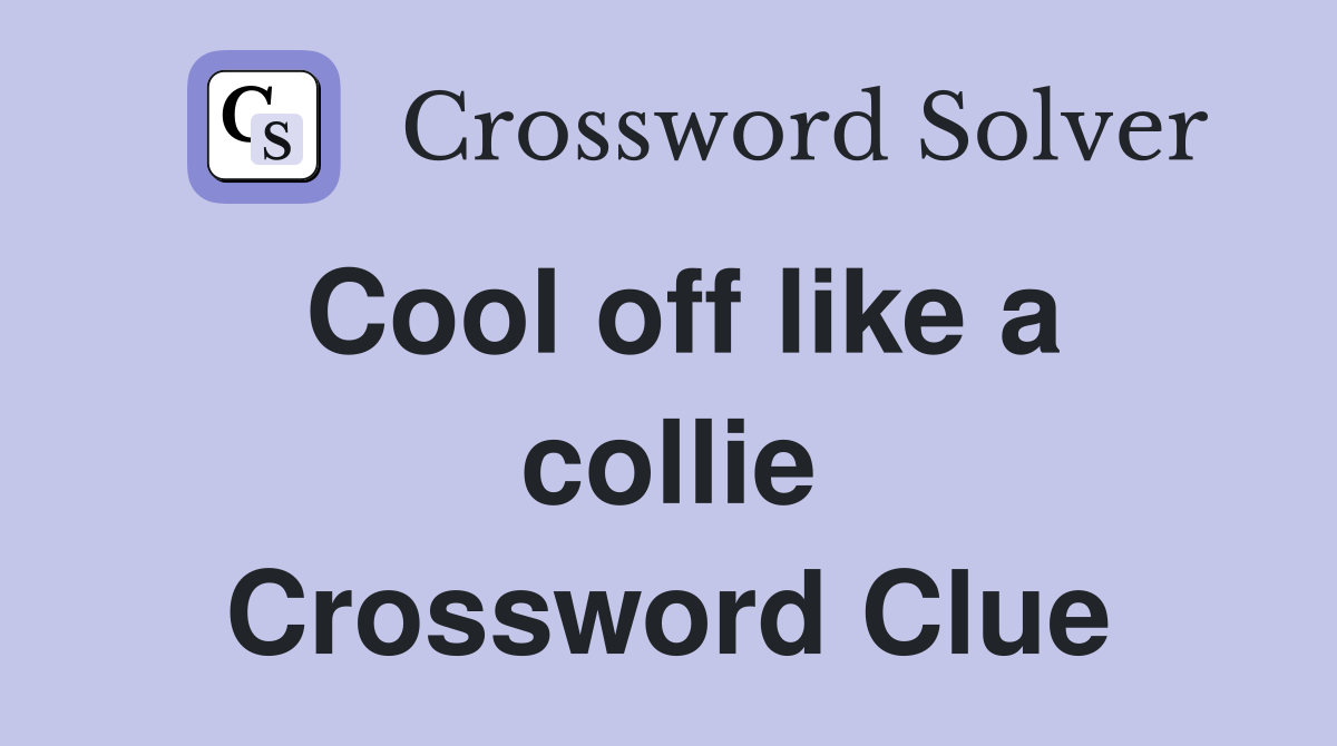 Cool off like a collie Crossword Clue