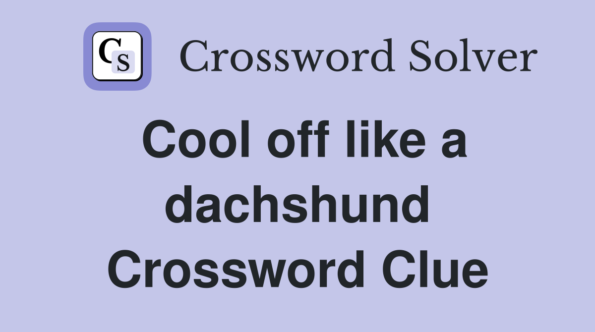 Cool off like a dachshund Crossword Clue