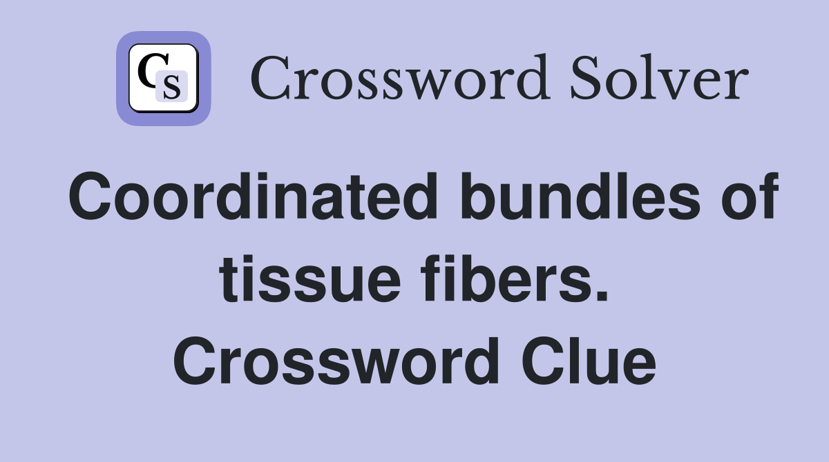Coordinated bundles of tissue fibers. Crossword Clue