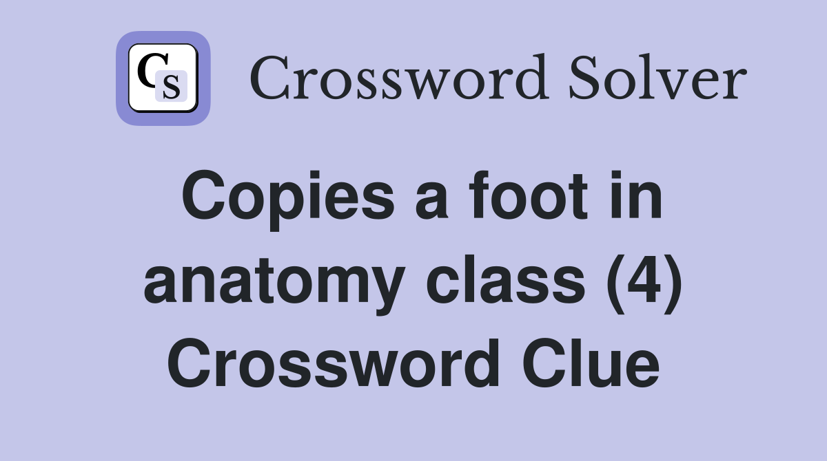 Copies a foot in anatomy class (4) Crossword Clue