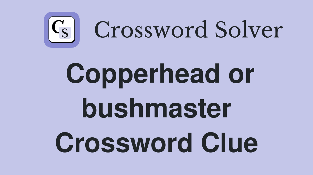 Copperhead or bushmaster Crossword Clue