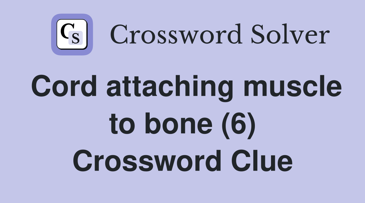 Cord attaching muscle to bone (6) Crossword Clue