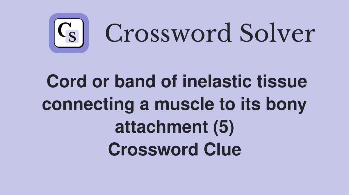 Cord or band of inelastic tissue connecting a muscle to its bony attachment (5) Crossword Clue