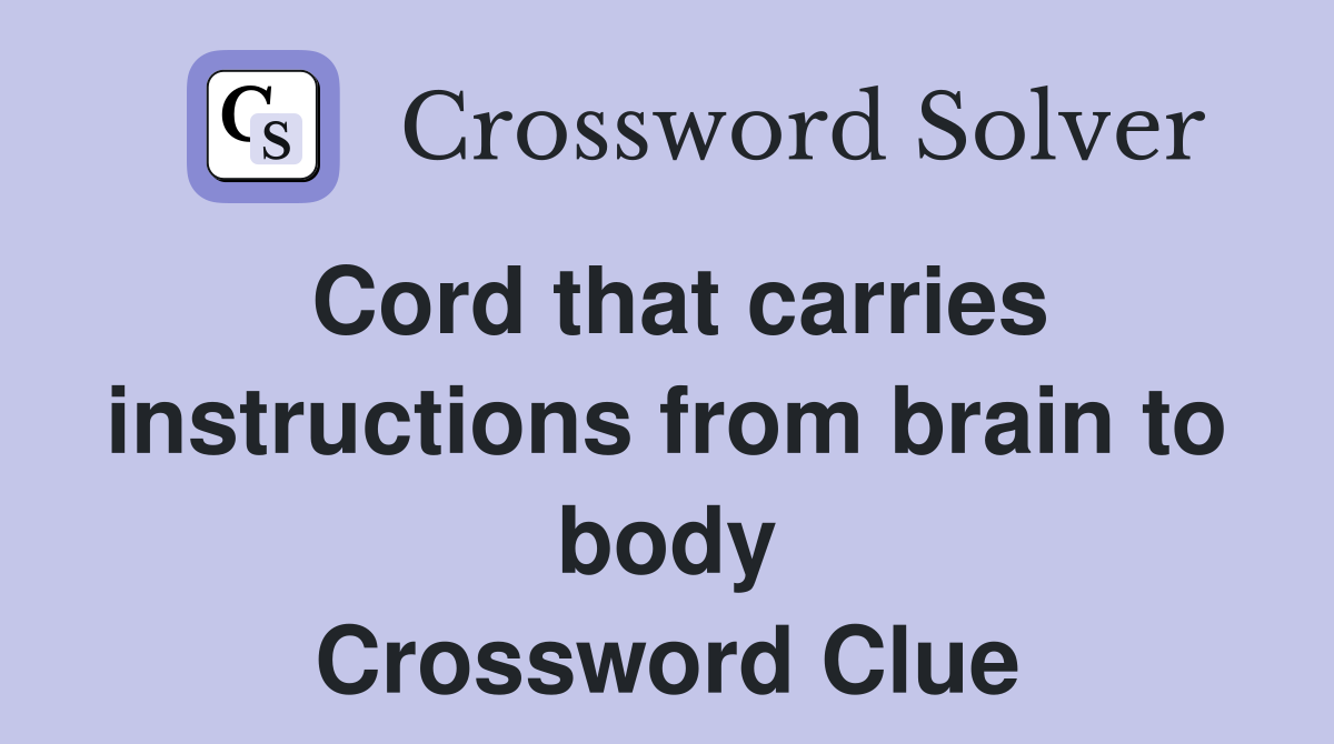 Cord that carries instructions from brain to body Crossword Clue