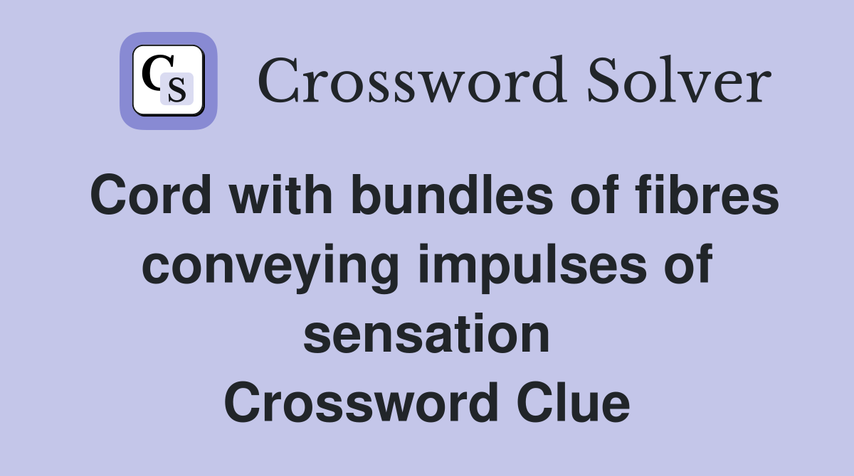 Cord with bundles of fibres conveying impulses of sensation Crossword Clue