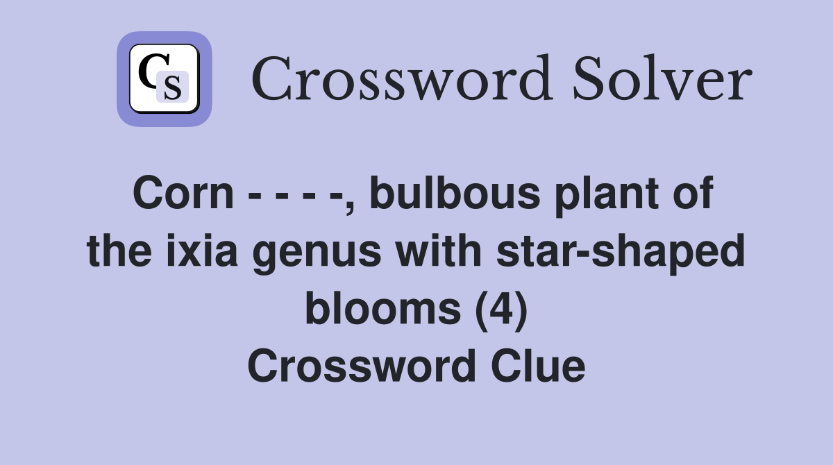 Corn - - - -, bulbous plant of the ixia genus with star-shaped blooms (4) Crossword Clue