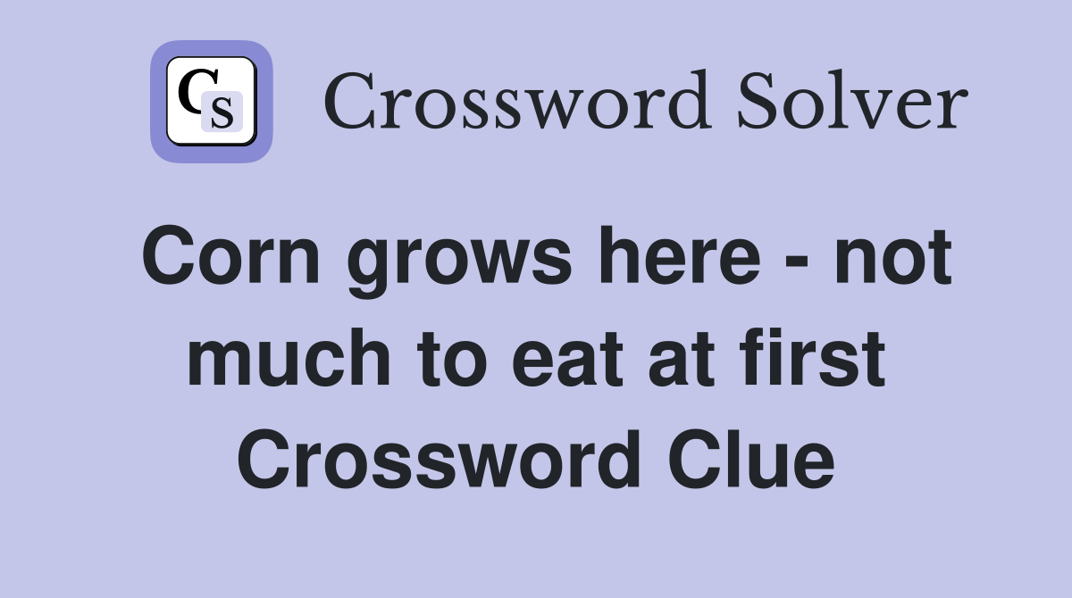 Corn grows here - not much to eat at first Crossword Clue