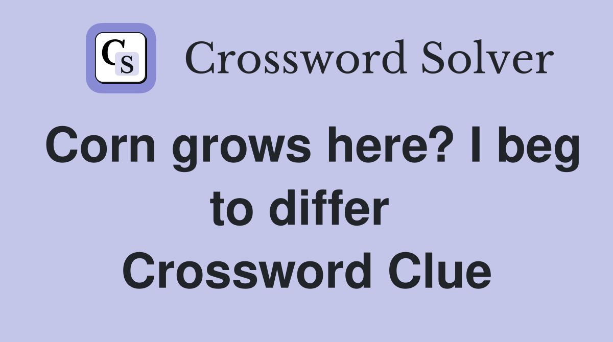 Corn grows here? I beg to differ  Crossword Clue