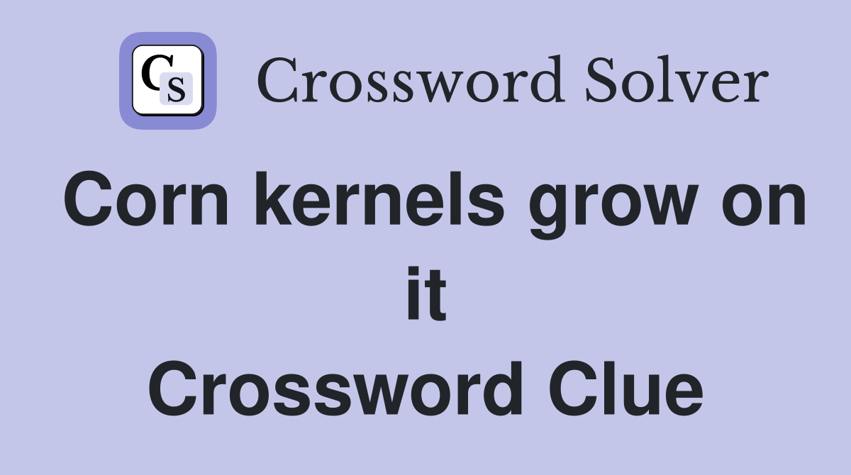 Corn kernels grow on it Crossword Clue