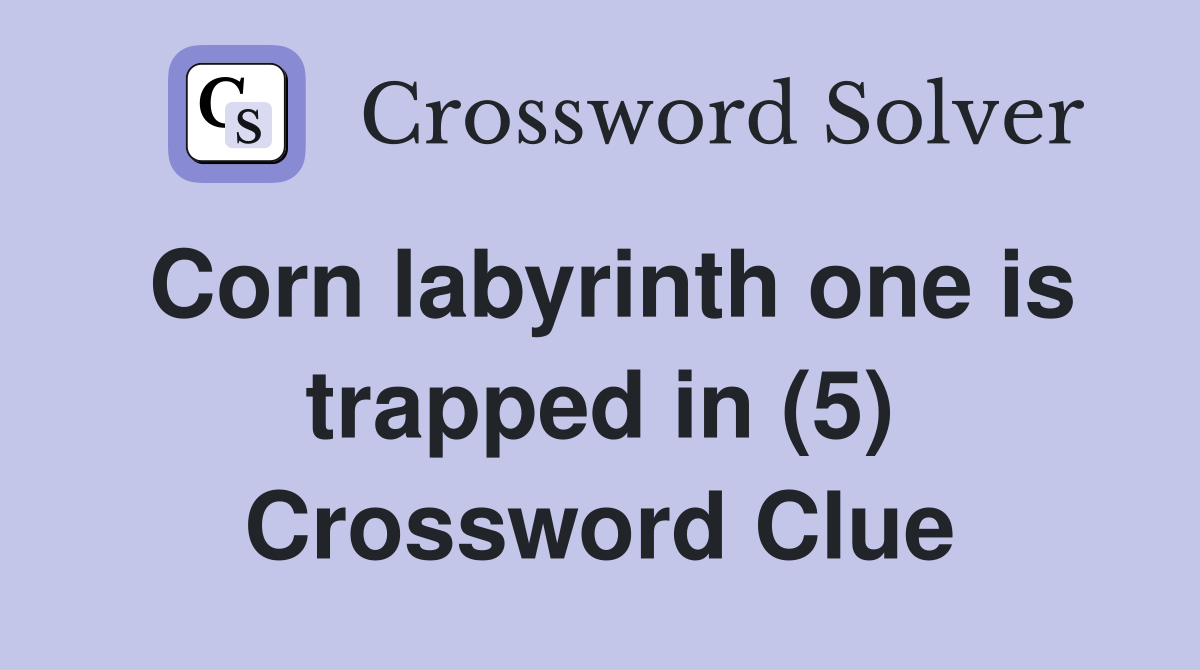 Corn labyrinth one is trapped in (5) Crossword Clue