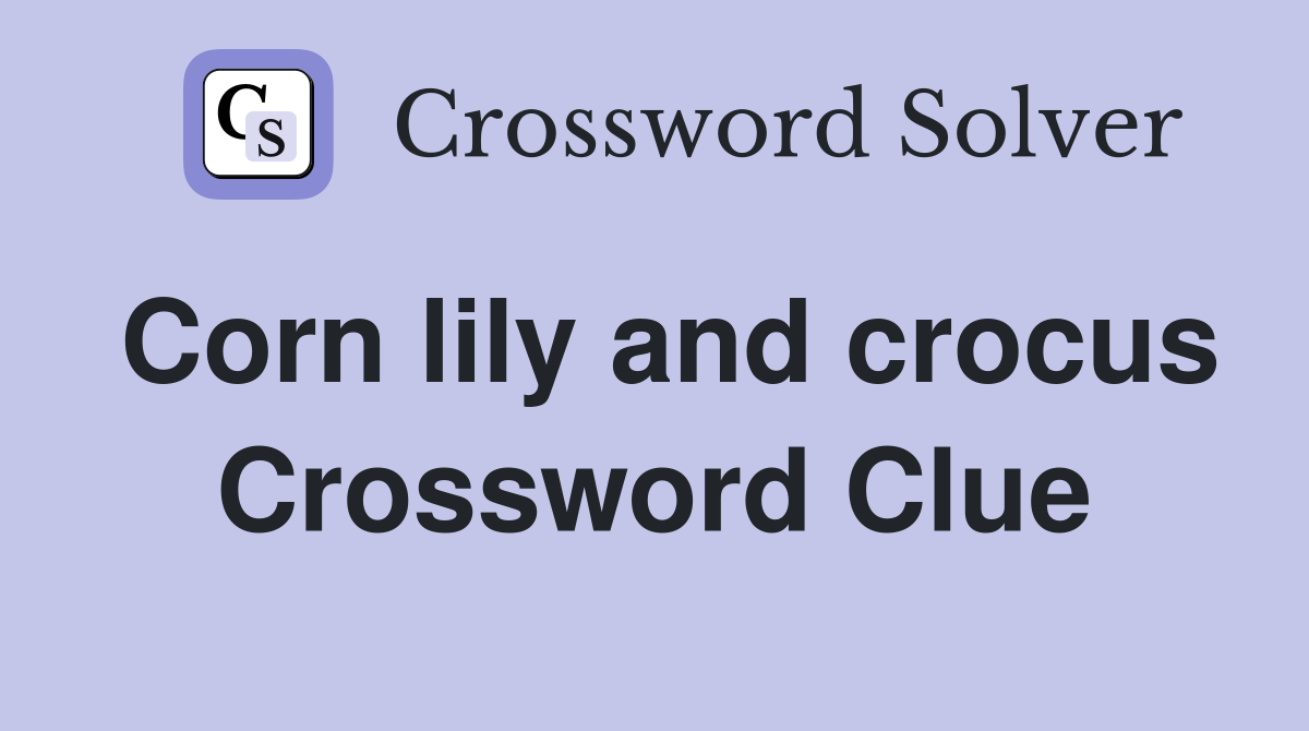 Corn lily and crocus Crossword Clue
