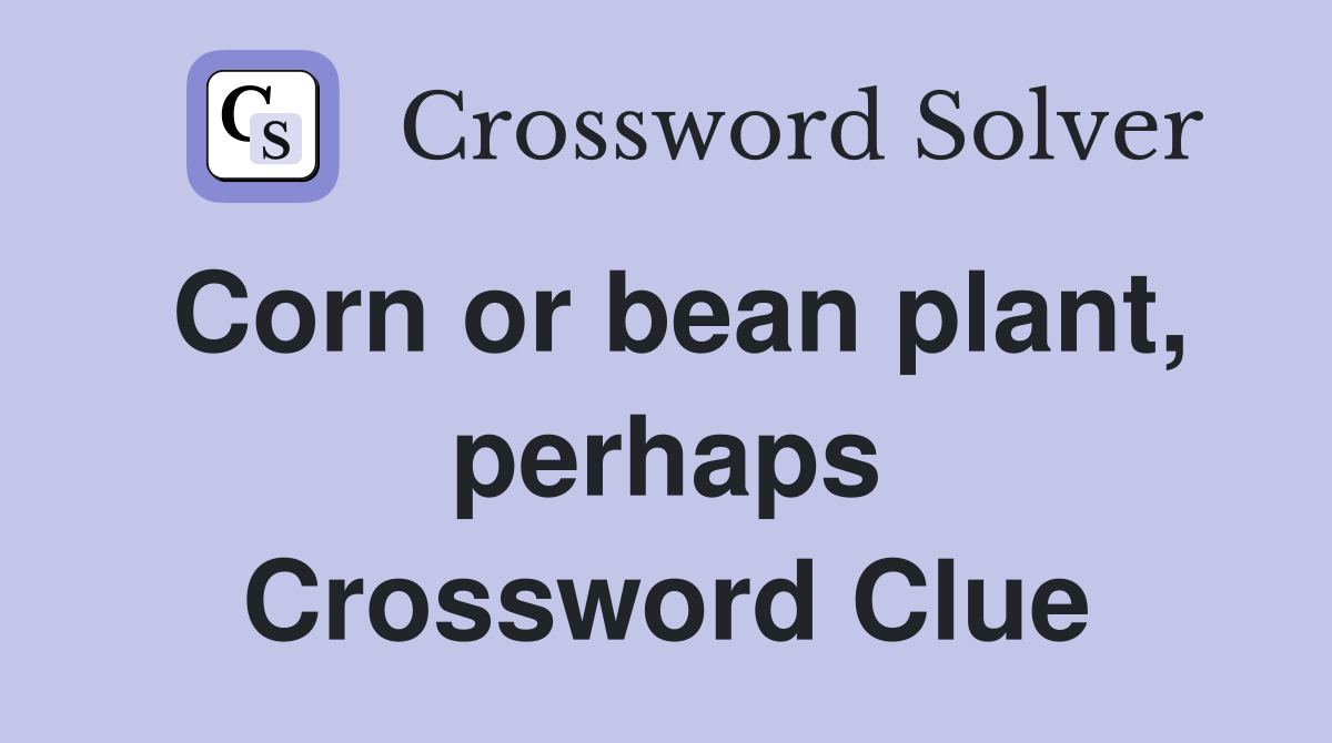 Corn or bean plant, perhaps Crossword Clue