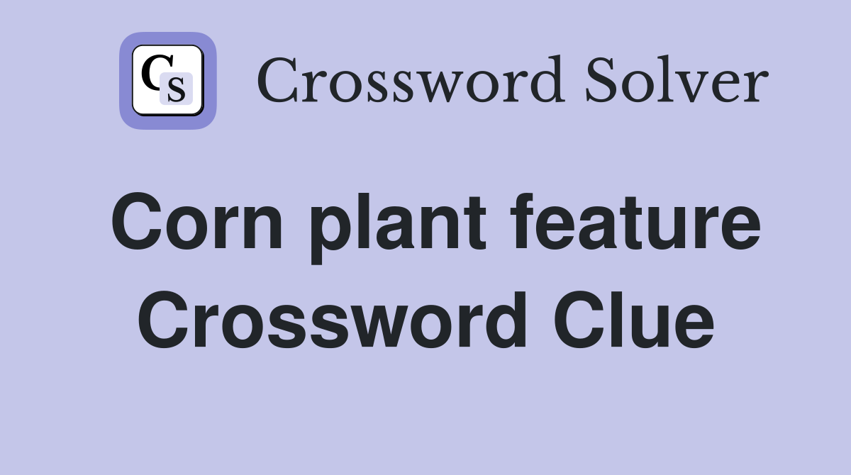 Corn plant feature Crossword Clue