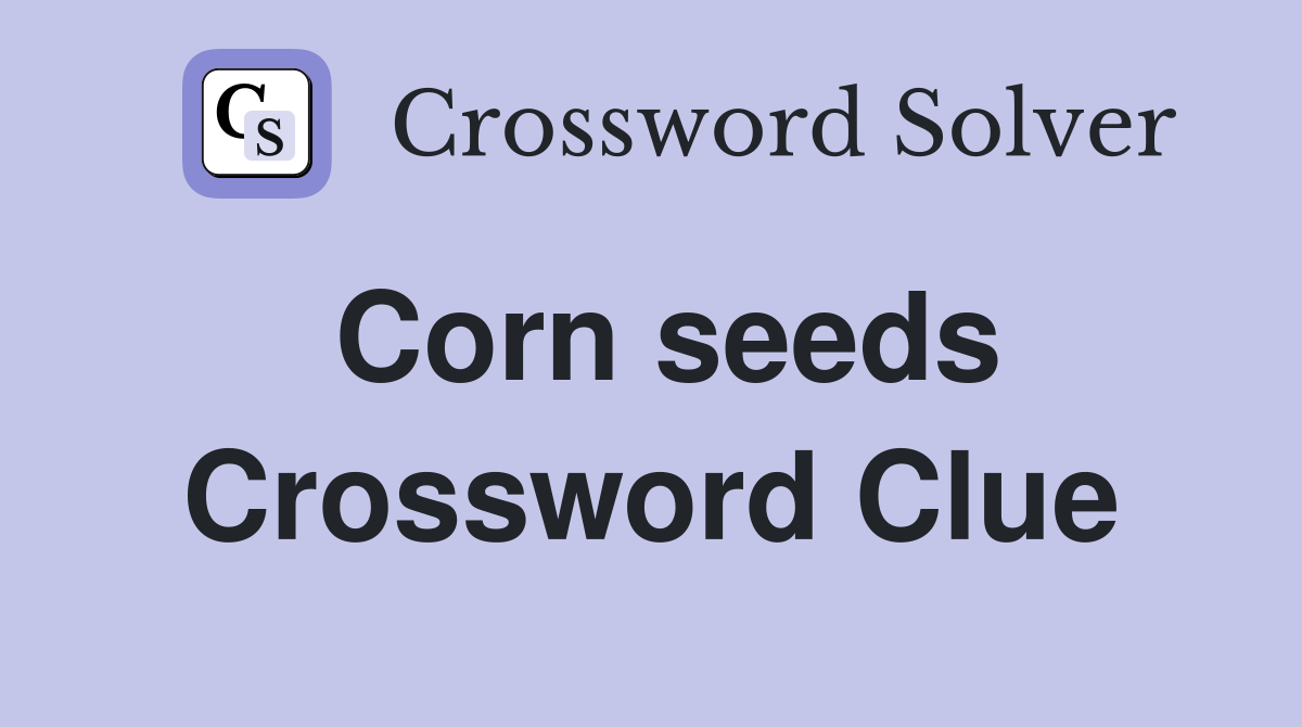 Corn seeds Crossword Clue