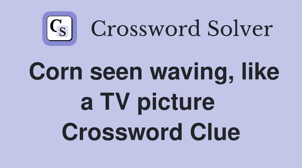 Corn seen waving, like a TV picture  Crossword Clue
