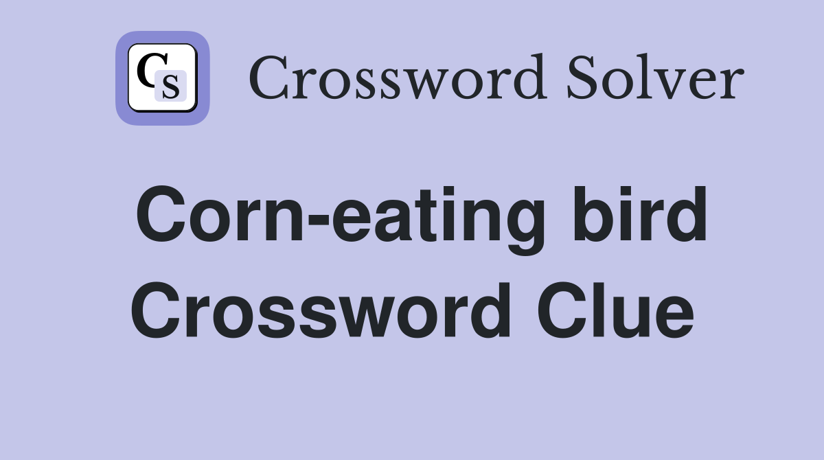 Corn-eating bird Crossword Clue