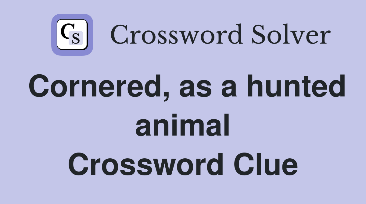 Cornered, as a hunted animal Crossword Clue