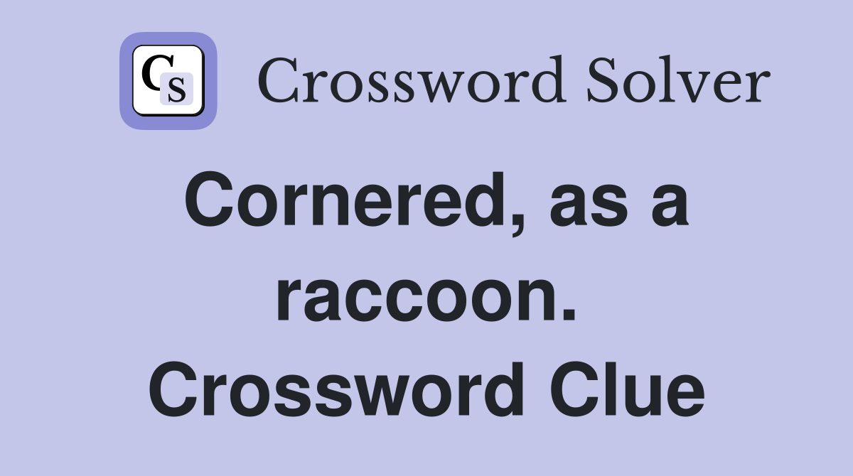 Cornered, as a raccoon. Crossword Clue