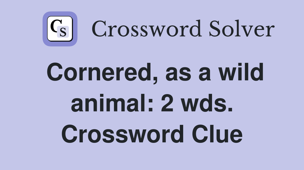 Cornered, as a wild animal: 2 wds. Crossword Clue