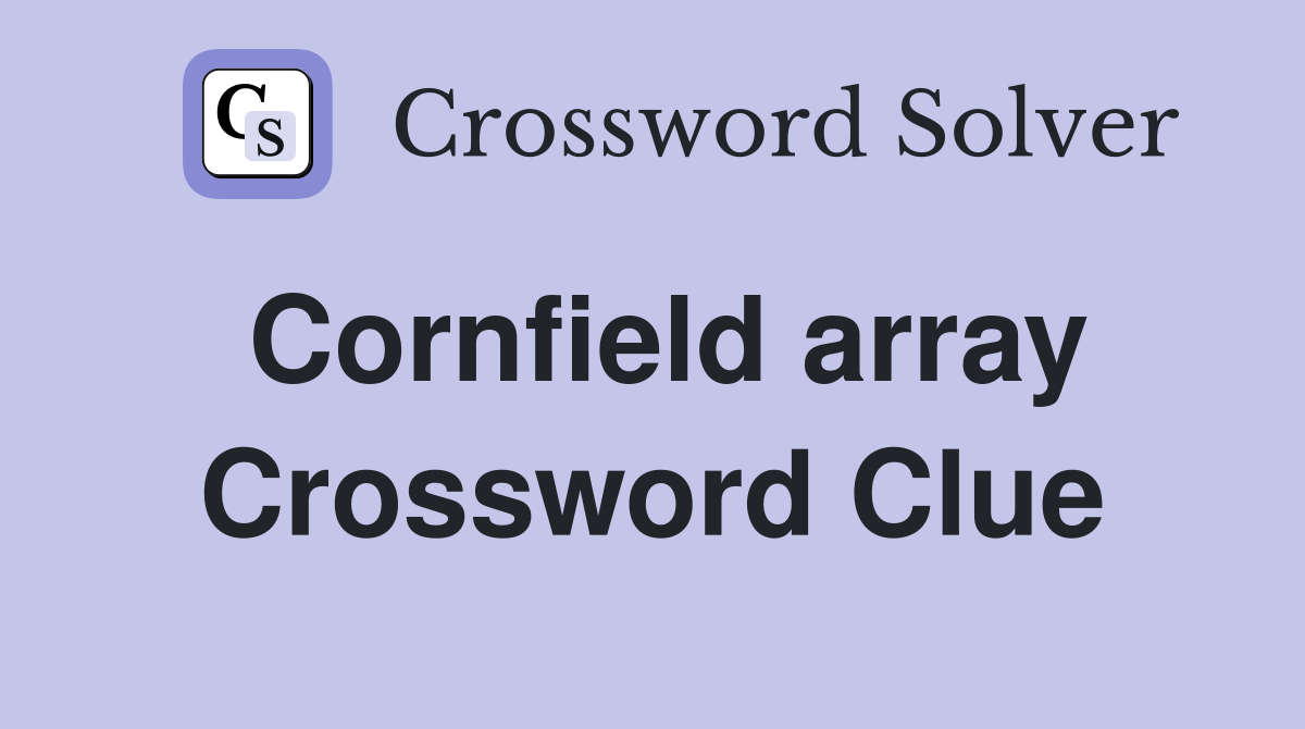 Cornfield array Crossword Clue