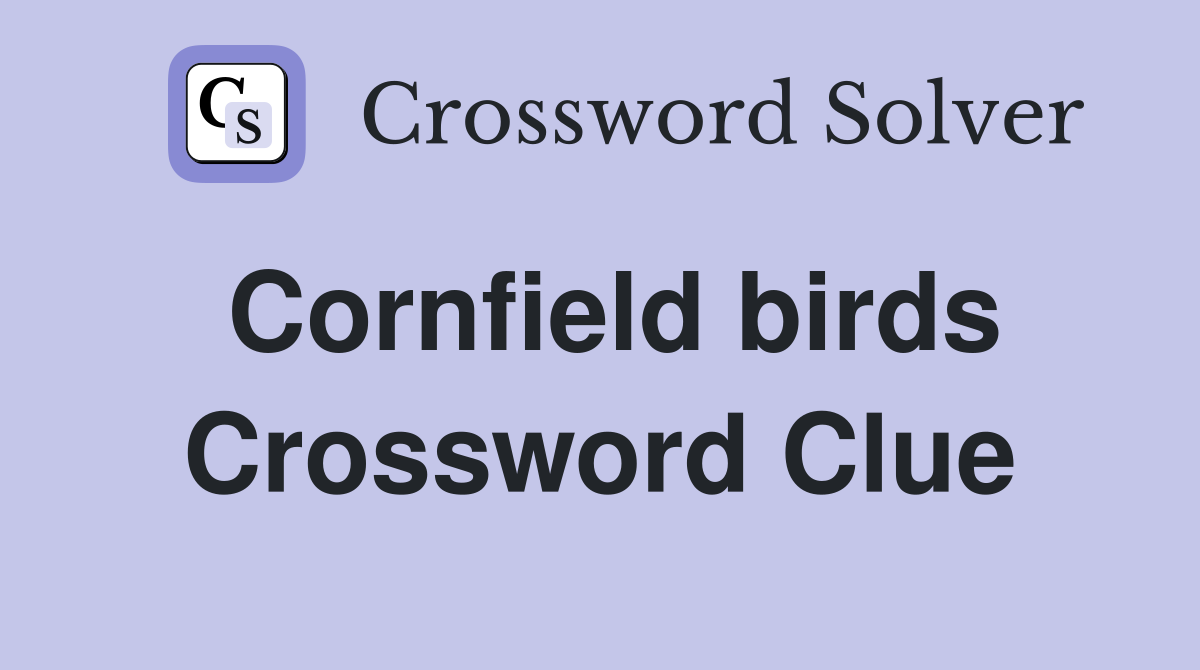 Cornfield birds Crossword Clue