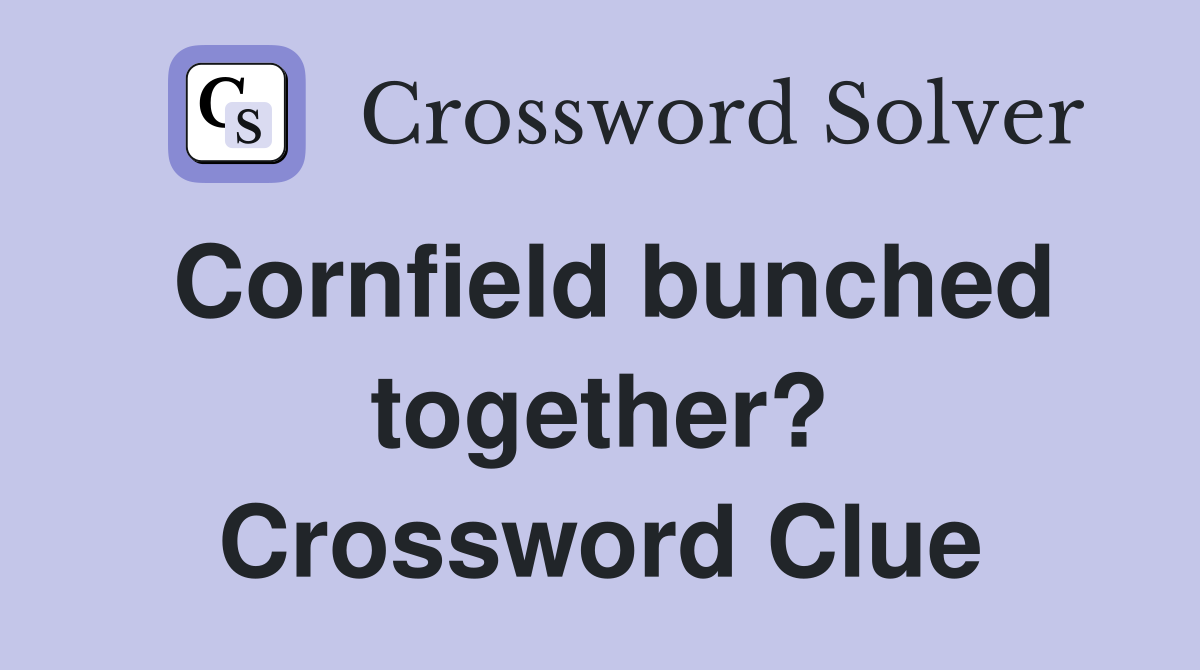 Cornfield bunched together? Crossword Clue