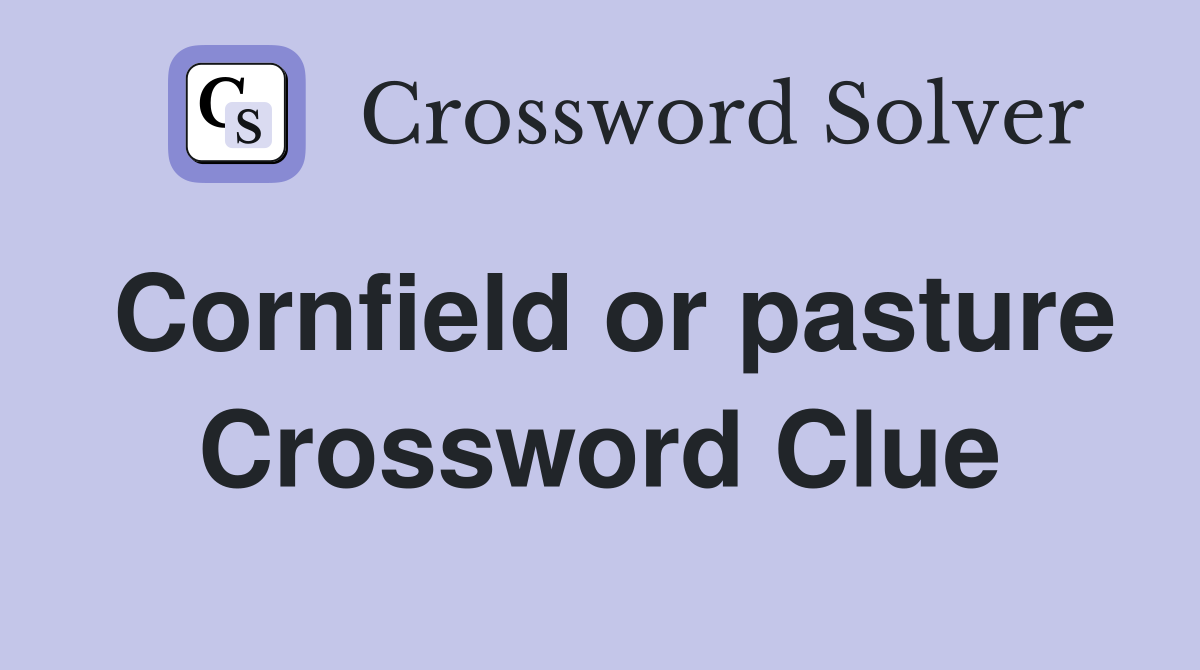 Cornfield or pasture Crossword Clue
