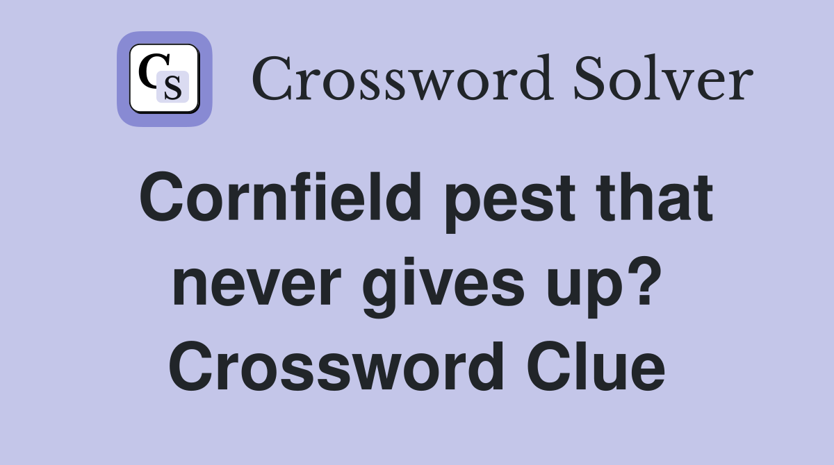 Cornfield pest that never gives up? Crossword Clue